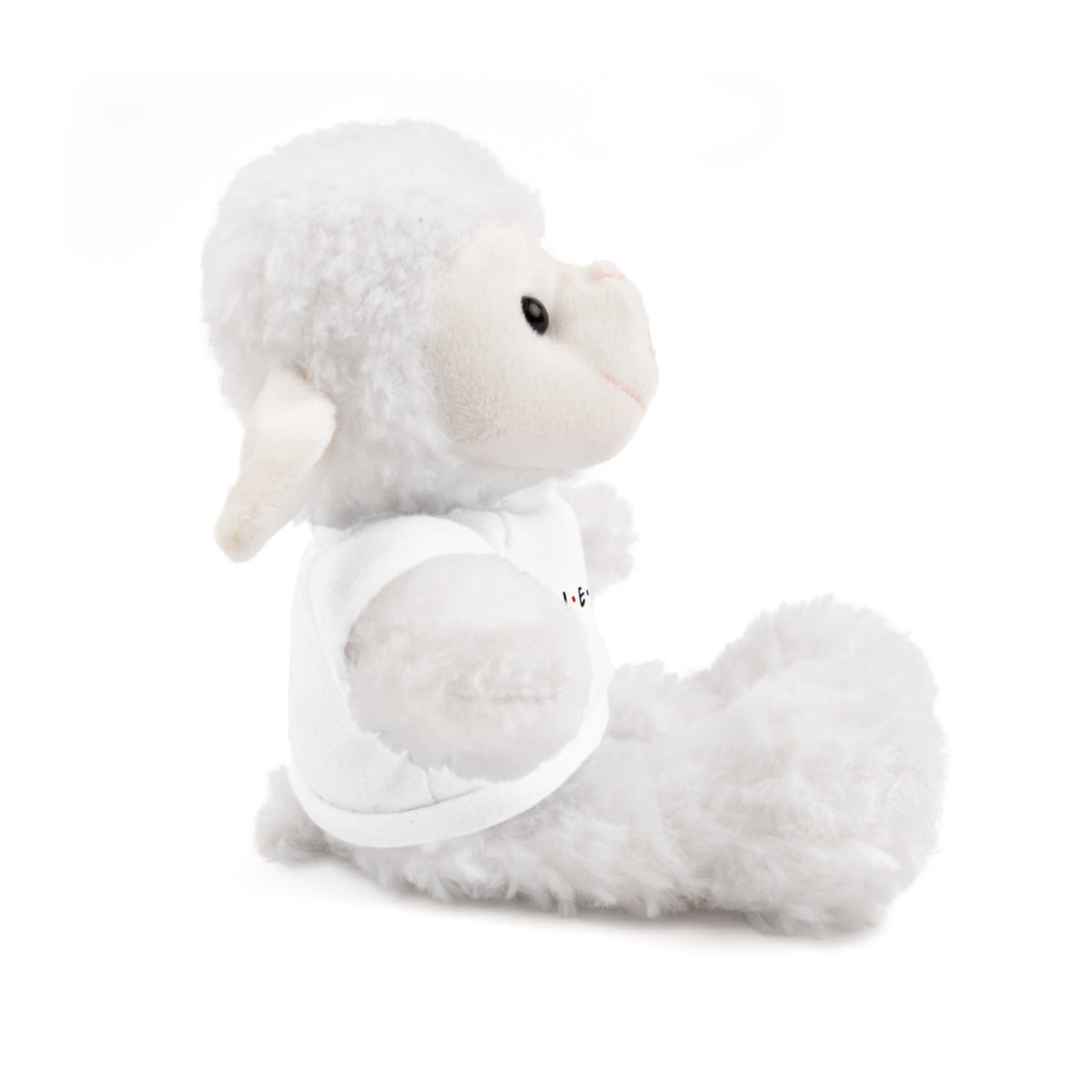 Plushie w/Jesus F•R•I•E•N•D•S Tee